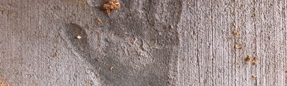 A Concrete Invitation